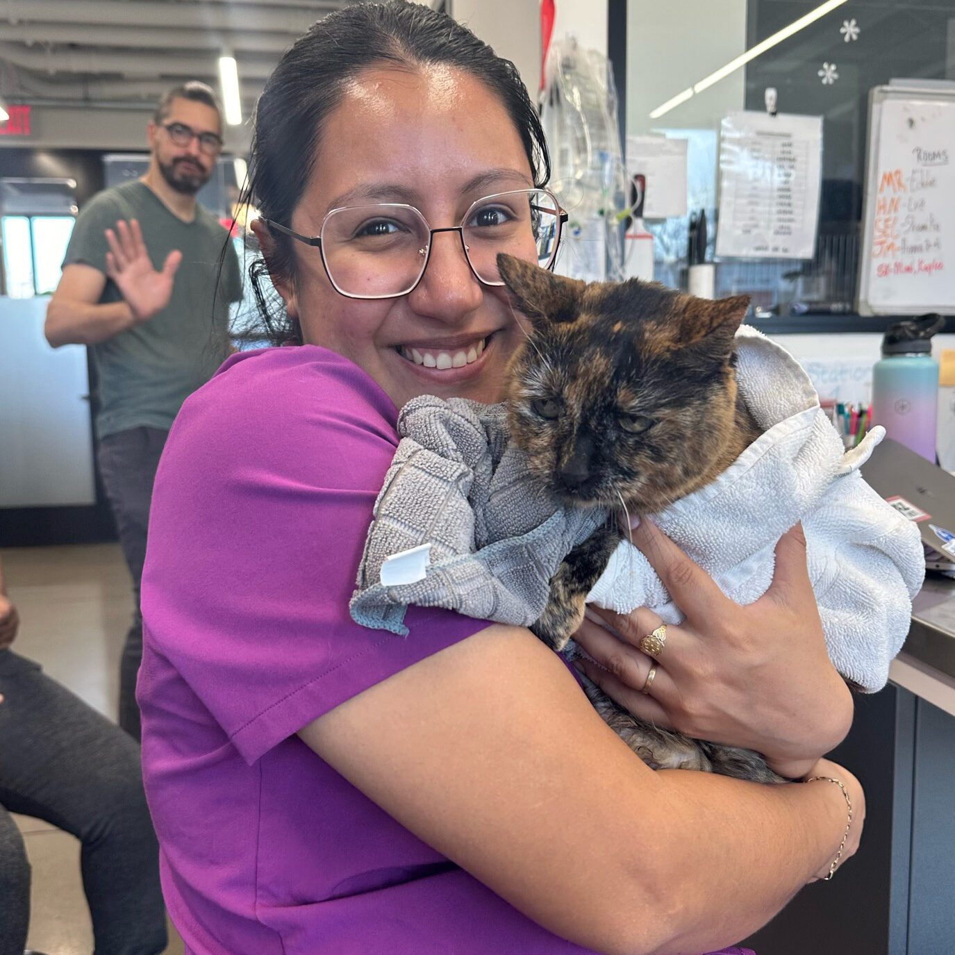 A cat being held for immunizations at Paz East Austin
