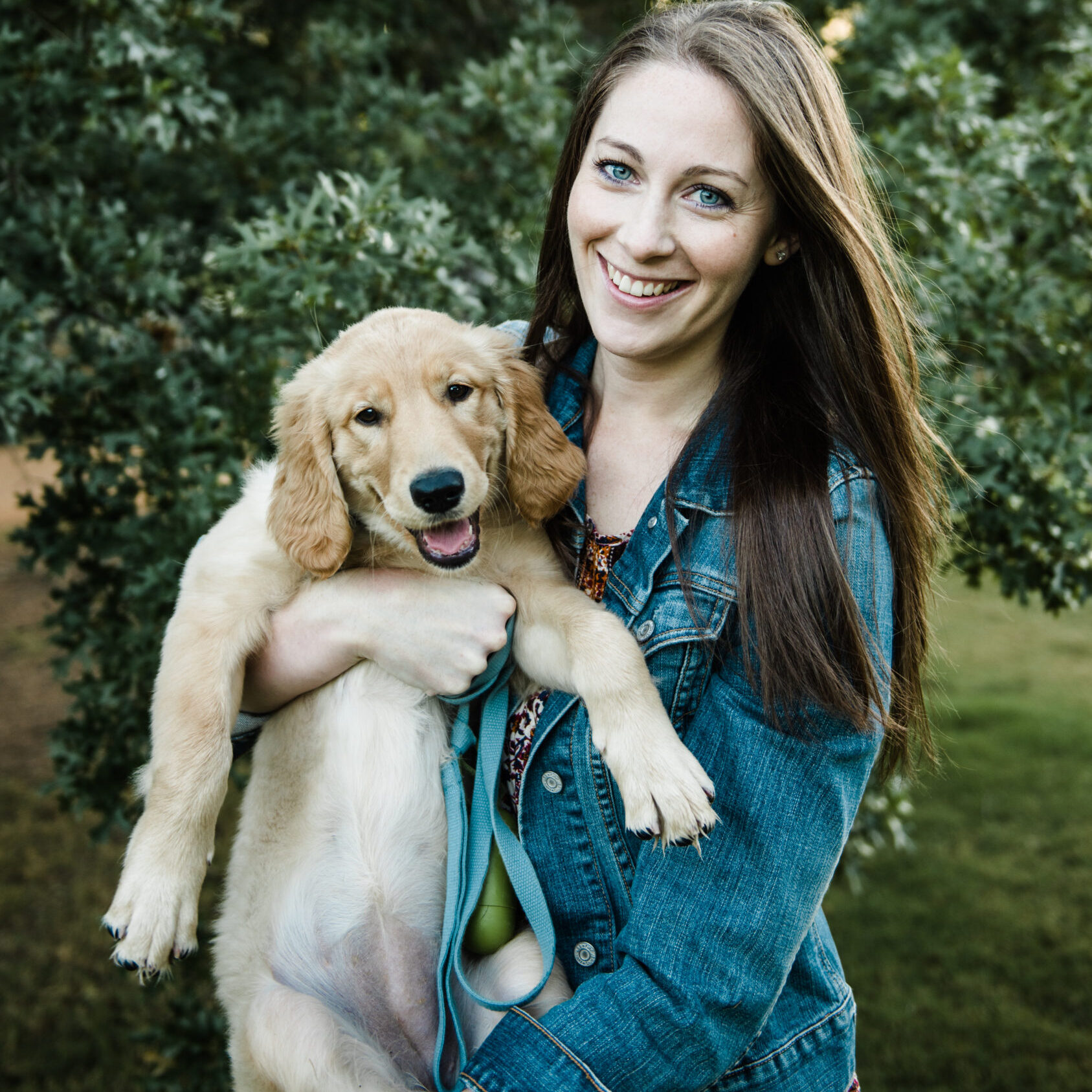 Happy dog on the way to a diagnostic appointment